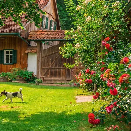 Apartamento Teichwiesn Sankt Stefan ob Stainz