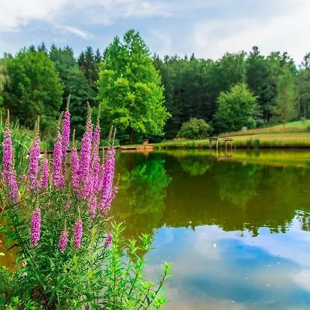 شقة Teichwiesn Sankt Stefan ob Stainz