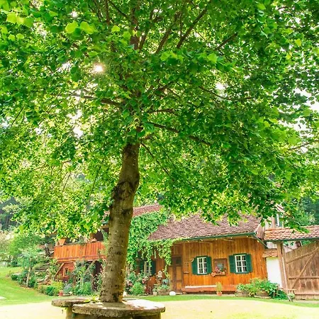 Teichwiesn Apartment