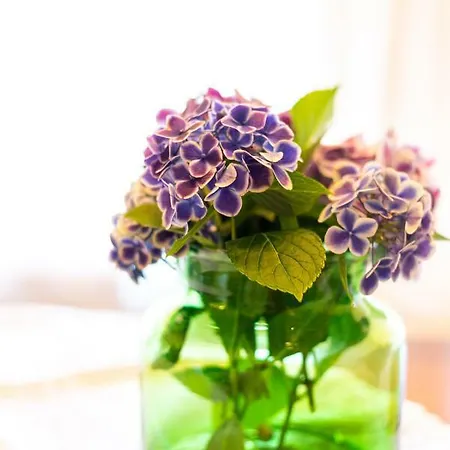 Teichwiesn Apartamento