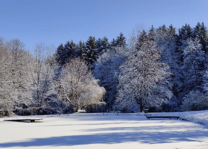 Teichwiesn Appartement *