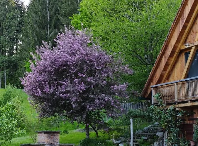 Appartement Teichwiesn