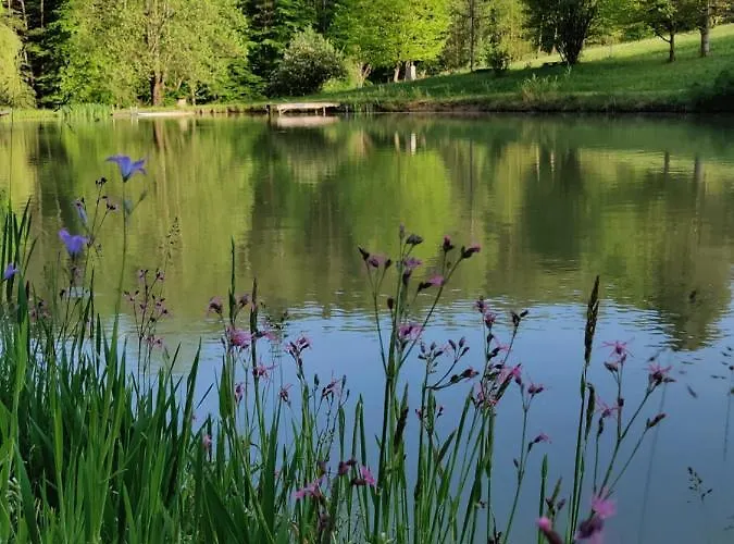 Teichwiesn Appartement