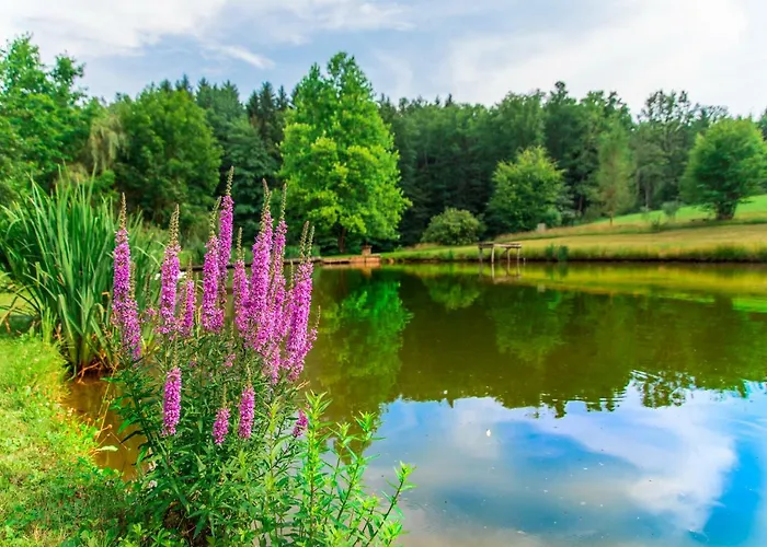 Appartement Teichwiesn Sankt Stefan ob Stainz
