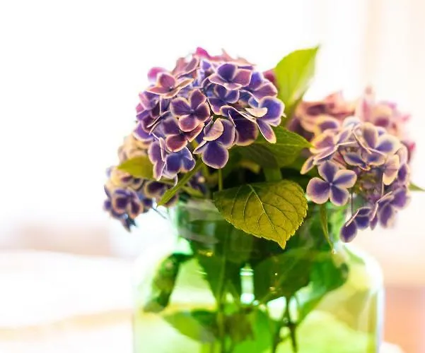 Teichwiesn Appartement